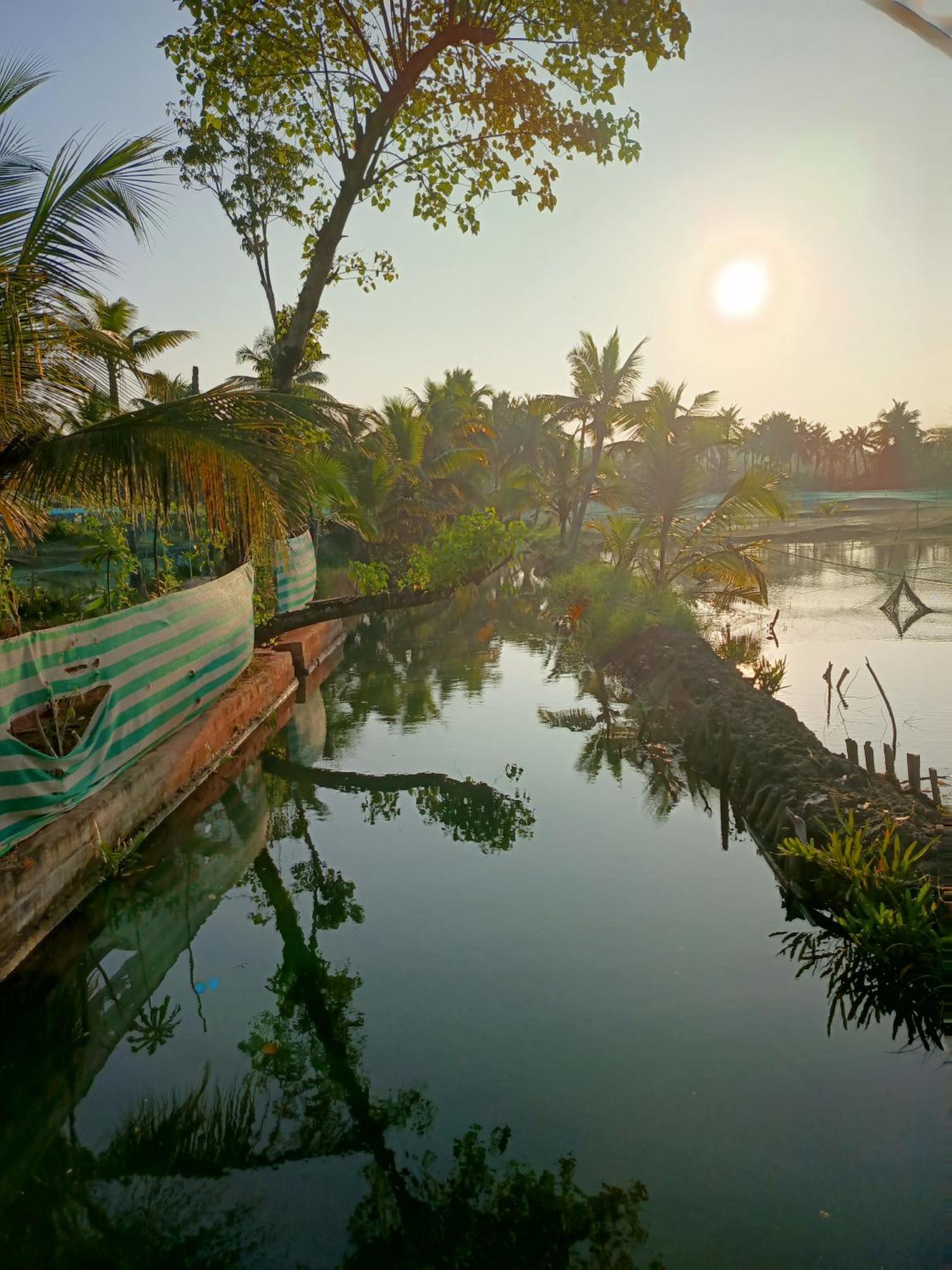 Bliss Homestay Munroe Island Mundrothuruth Dış mekan fotoğraf