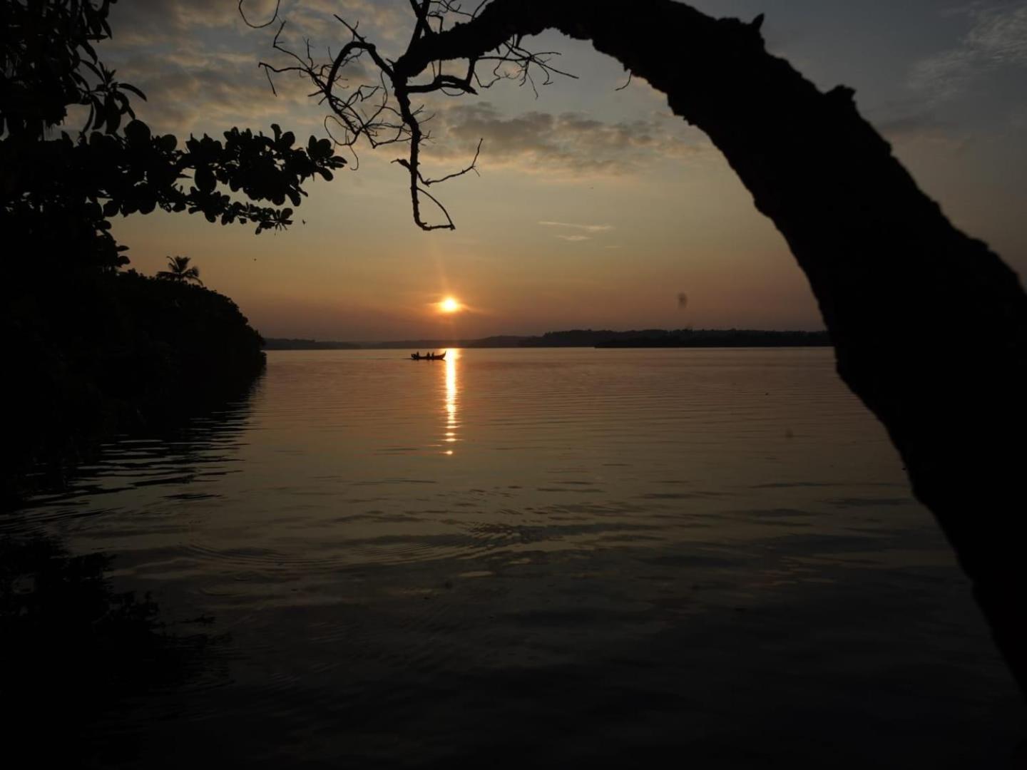 Bliss Homestay Munroe Island Mundrothuruth Dış mekan fotoğraf