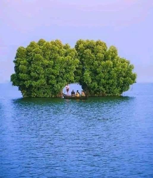 Bliss Homestay Munroe Island Mundrothuruth Dış mekan fotoğraf